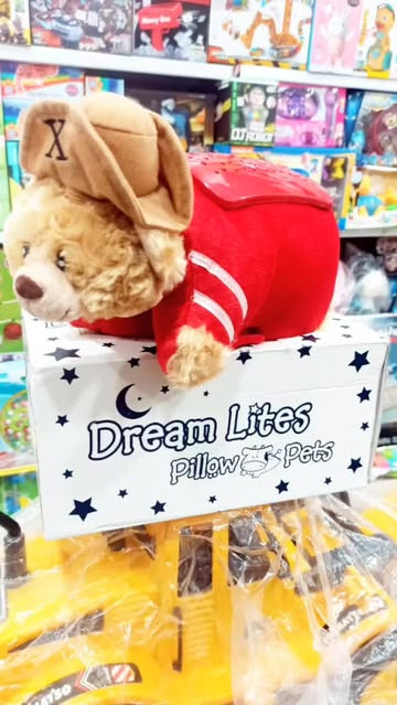 شب خواب خرس شلمن