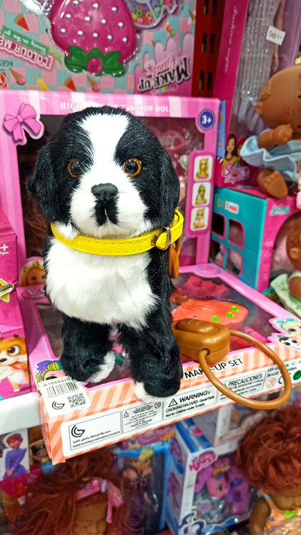 اسباب بازی سگ پالیشی کنترلی