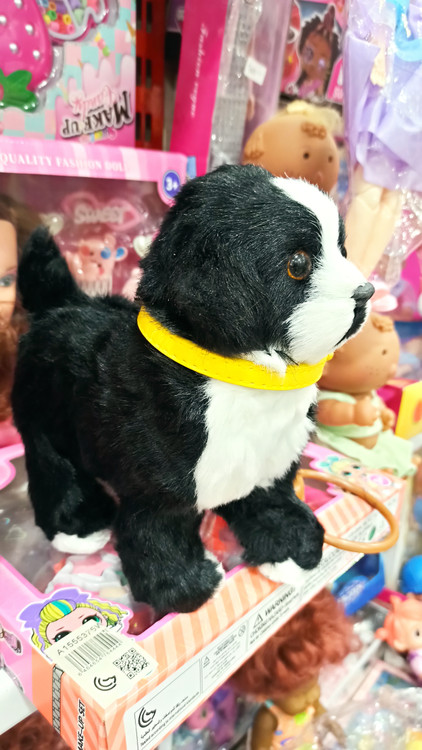 سگ کنترلی اسباب بازی