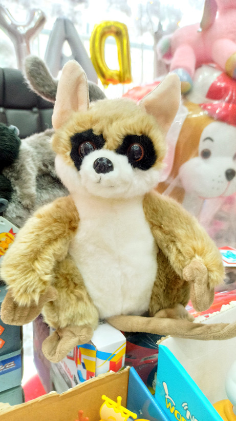 عروسک راکون پالیشی