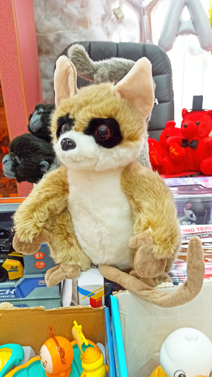 عروسک راکون خزی