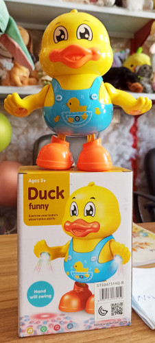 اردک موزیکال