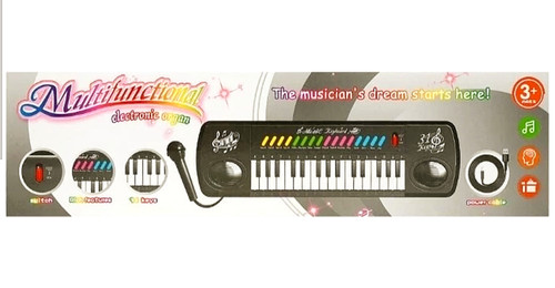 اسباب بازی ارگ ۳۱ کلید