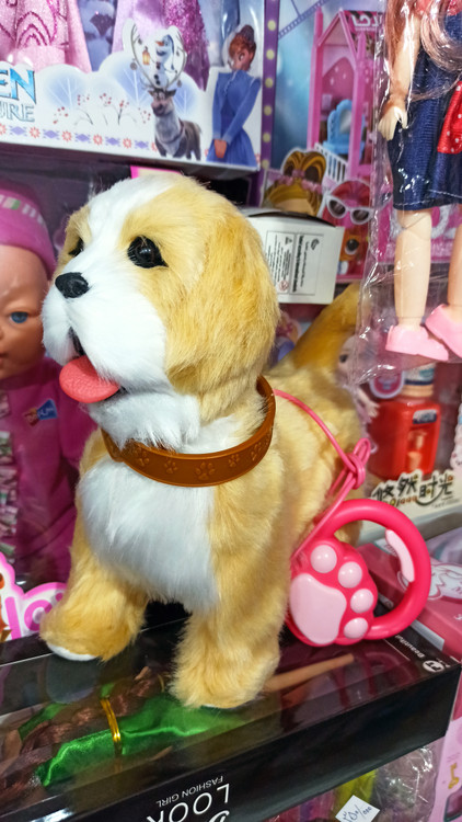 اسباب بازی سگ کنترلی