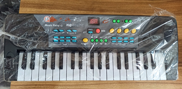 ارگ ۳۷ کلید