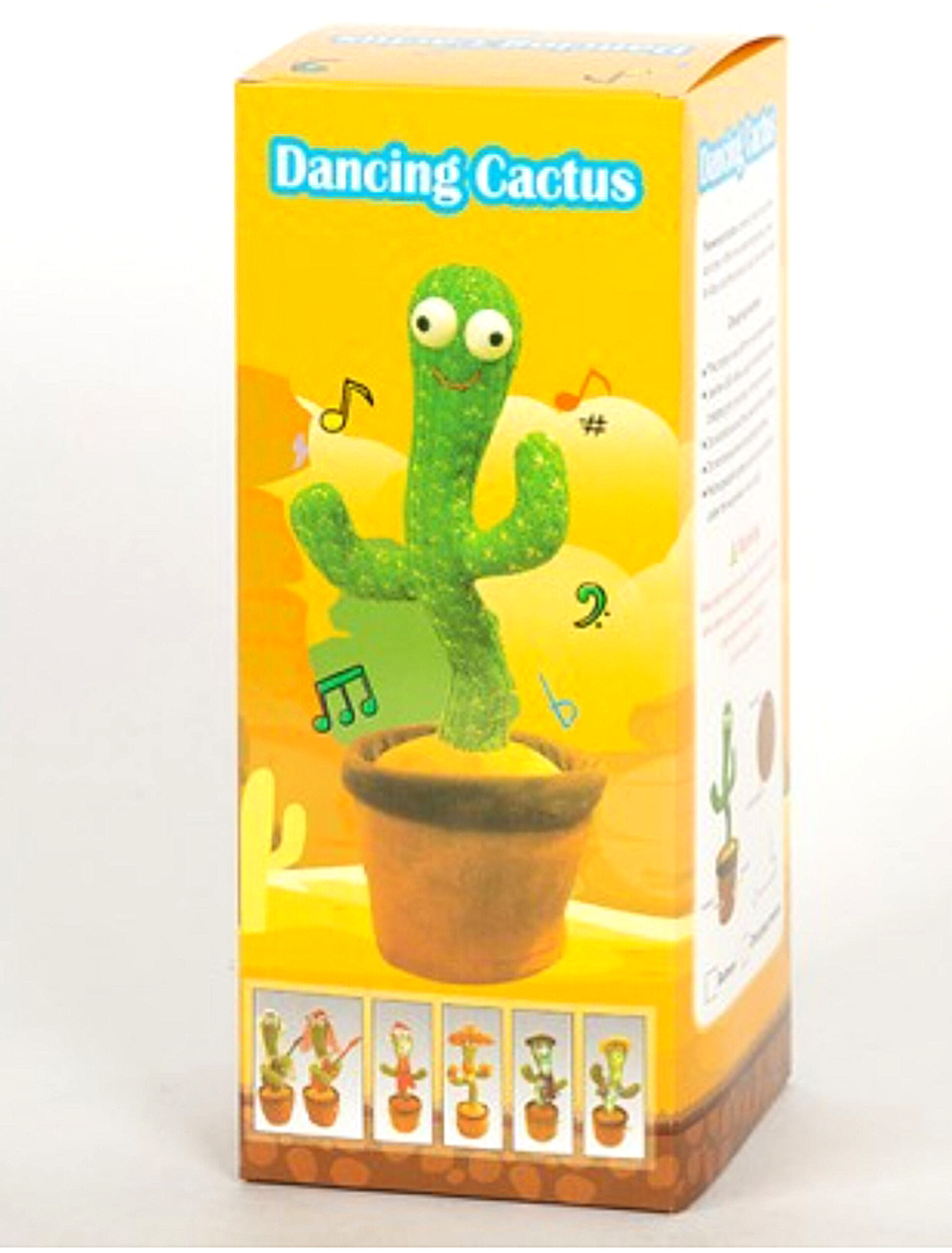 کاکتوس رقاص