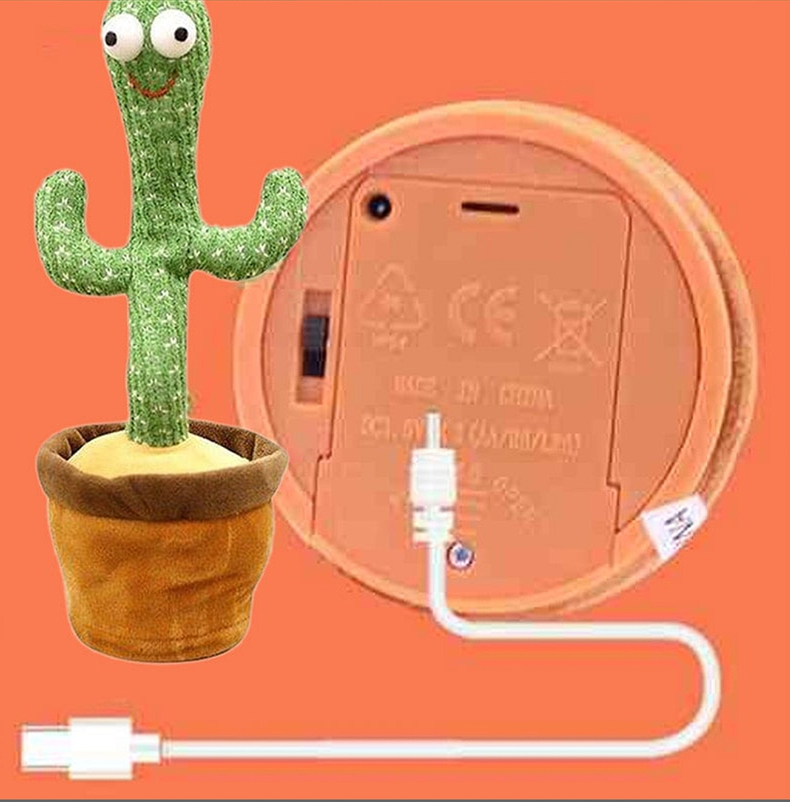 کاکتوس باطری خور