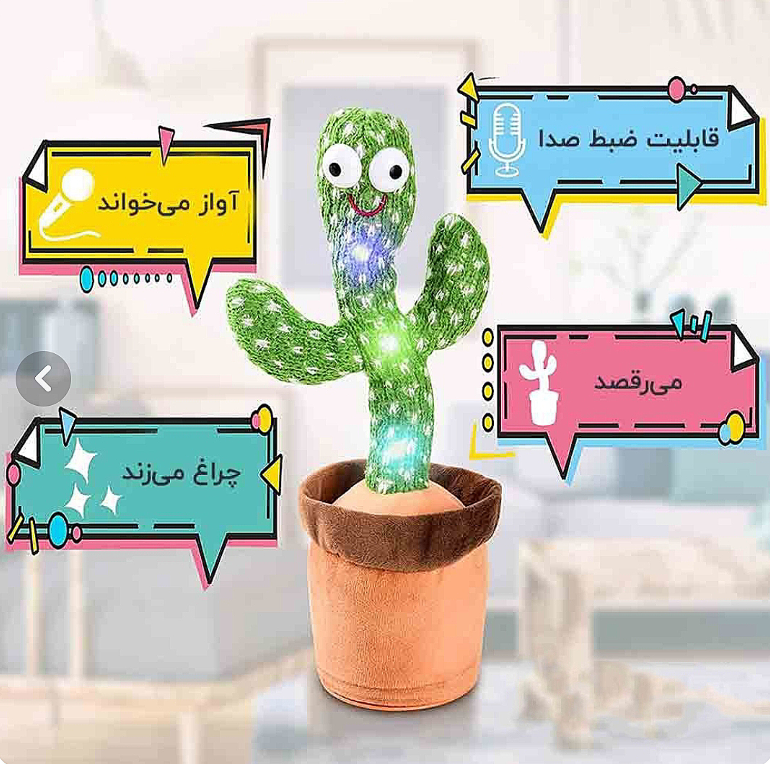 کاکتوس موزیکال