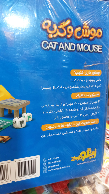 بازی فکری موش و گربه