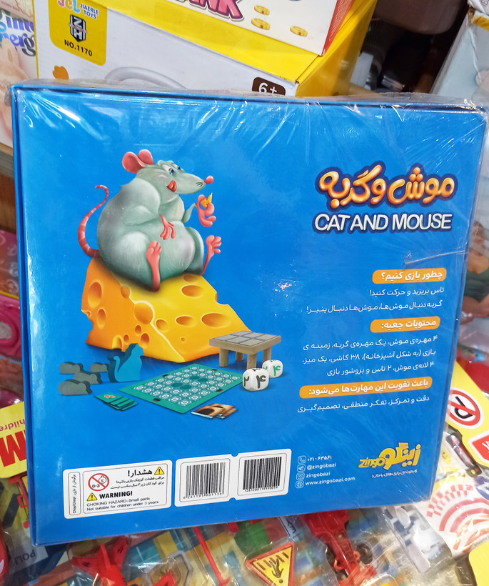 بازی فکری موش و گربه